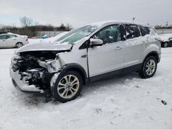 Ford salvage cars for sale: 2019 Ford Escape SE