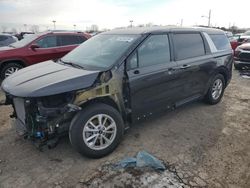 KIA Carnival l salvage cars for sale: 2024 KIA Carnival LX