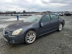 Nissan Maxima salvage cars for sale: 2008 Nissan Maxima SE