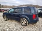 2011 Honda Pilot EXL