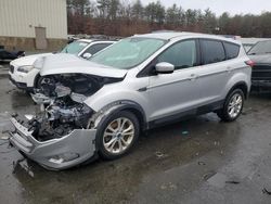 Ford Escape salvage cars for sale: 2019 Ford Escape SE