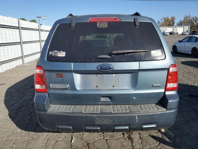 2011 Ford Escape XLT