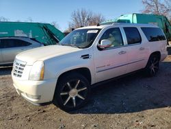 Cadillac salvage cars for sale: 2010 Cadillac Escalade ESV Premium