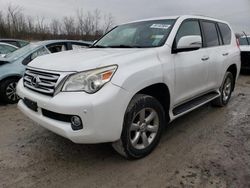 Lexus gx salvage cars for sale: 2011 Lexus GX 460