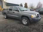 2005 Dodge Dakota Quad SLT