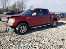 Salvage cars for sale from Copart Cicero, IN: 2013 Ford F150 Supercrew