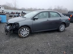 Toyota salvage cars for sale: 2013 Toyota Corolla Base