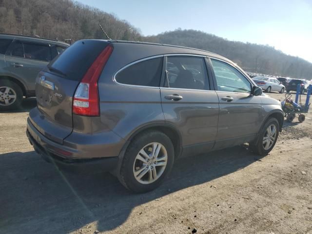 2010 Honda CR-V EXL