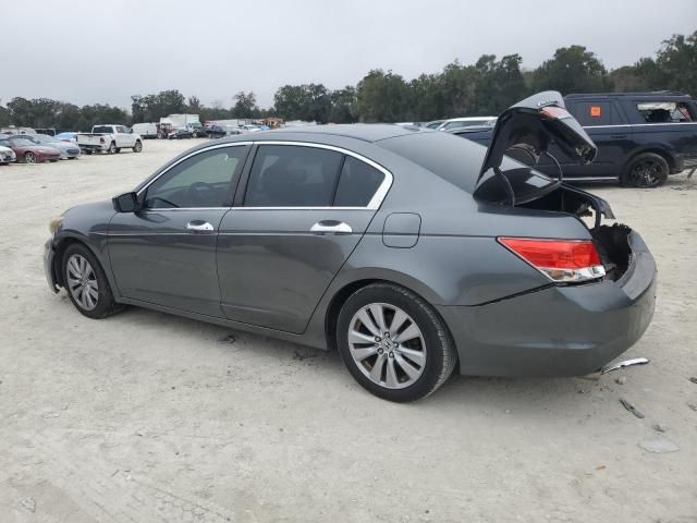 2011 Honda Accord EXL