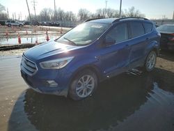 Ford Escape salvage cars for sale: 2017 Ford Escape SE