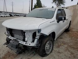 Chevrolet Silverado c1500 salvage cars for sale: 2024 Chevrolet Silverado C1500