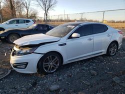 Salvage cars for sale from Copart Cicero, IN: 2013 KIA Optima SX