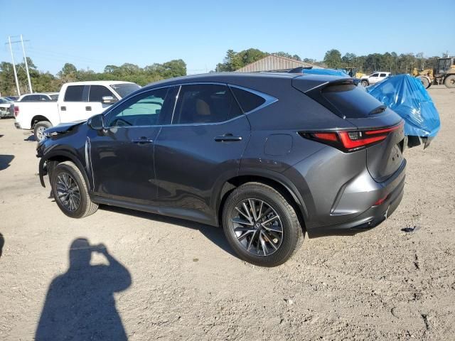 2025 Lexus NX 250 Premium