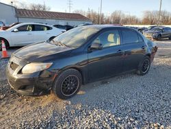 Toyota Corolla salvage cars for sale: 2009 Toyota Corolla Base