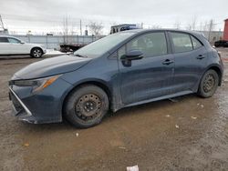 Toyota Corolla salvage cars for sale: 2019 Toyota Corolla SE