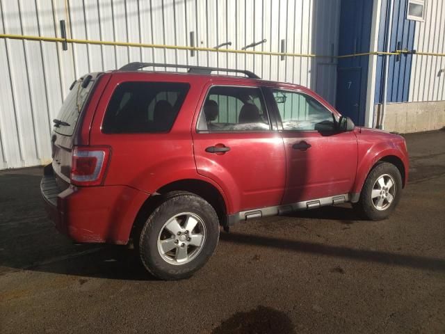 2011 Ford Escape XLT