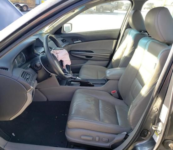 2008 Honda Accord EXL