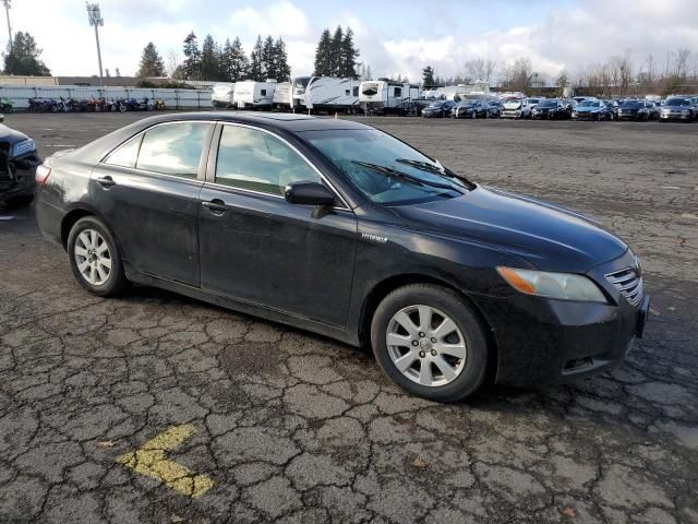 2008 Toyota Camry Hybrid