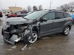 Ford Escape salvage cars for sale: 2016 Ford Escape SE