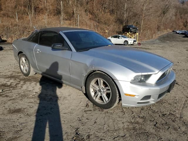 2014 Ford Mustang