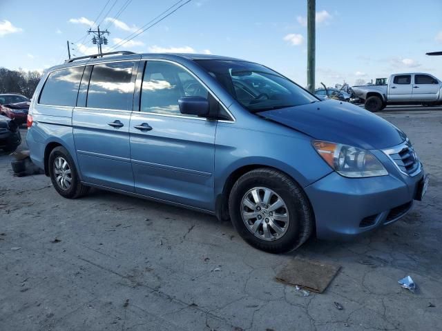 2010 Honda Odyssey EXL