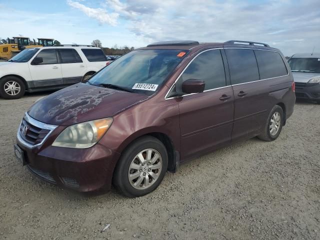 2009 Honda Odyssey EXL