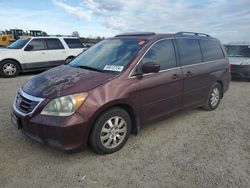 Honda Odyssey exl Vehiculos salvage en venta: 2009 Honda Odyssey EXL