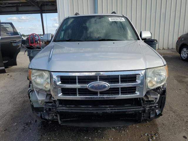 2009 Ford Escape Limited