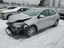 Toyota Corolla salvage cars for sale: 2014 Toyota Corolla L