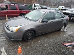 Ford Focus salvage cars for sale: 2011 Ford Focus SE