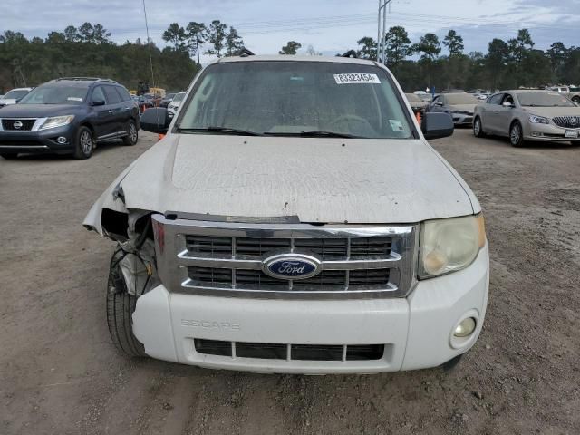 2010 Ford Escape XLT