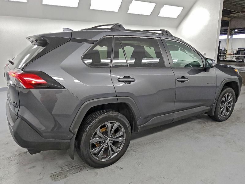 2024 Toyota Rav4 xle Premium