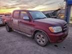 2005 Toyota Tundra