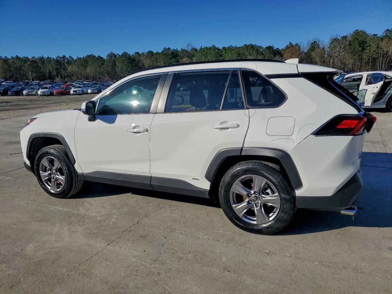 2025 Toyota Rav4 xle