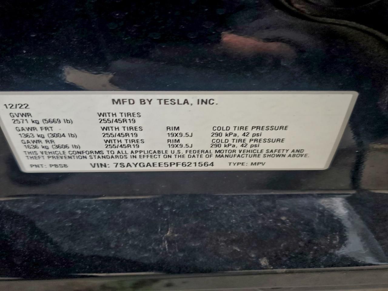 2023 Tesla Model y