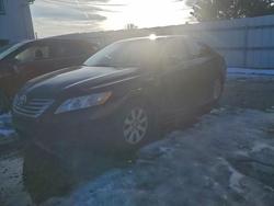 2009 Toyota Camry Hybrid en venta en Windsor, NJ