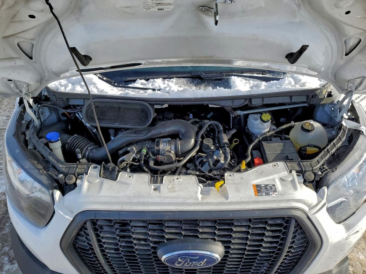 2023 Ford Transit 250 Delivery Van