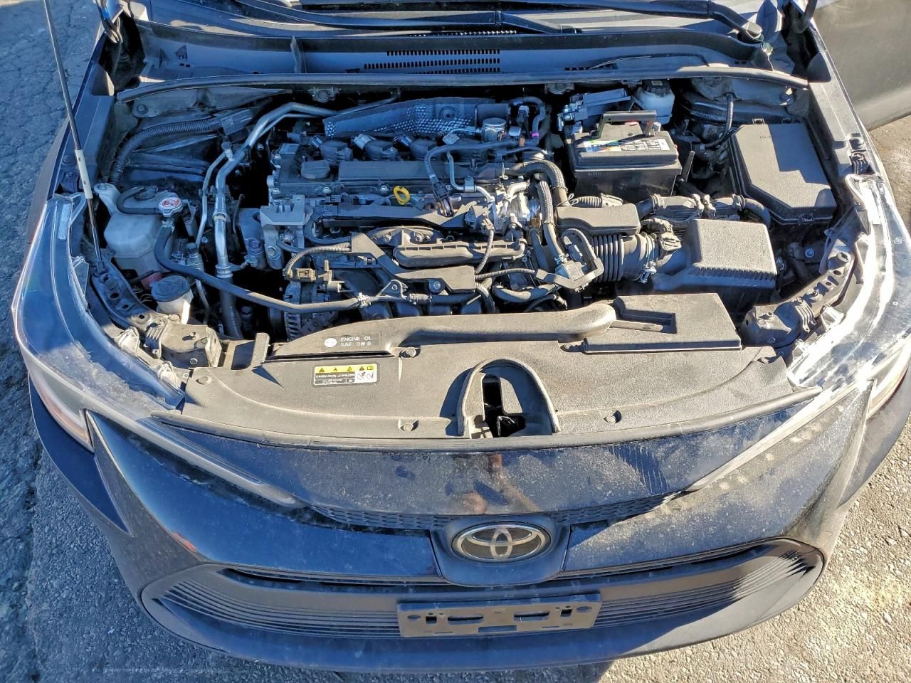 2023 Toyota Corolla le