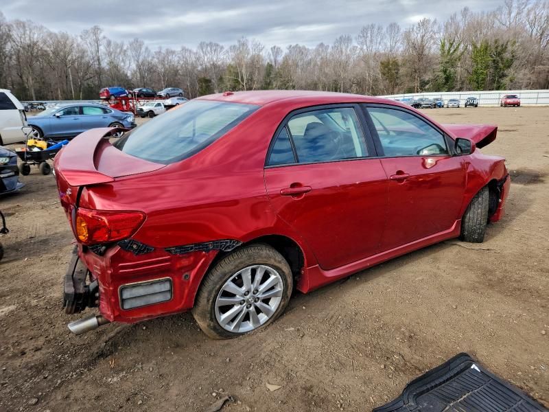 2010 Toyota Corolla Base