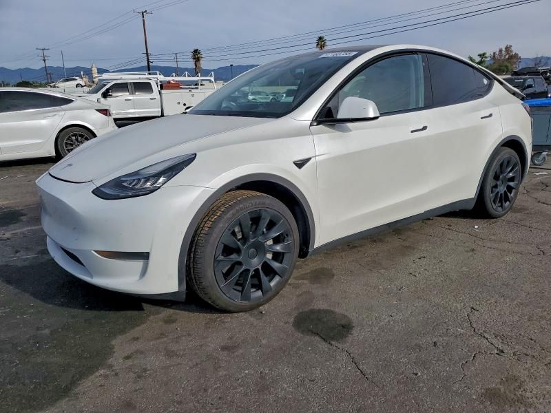 2020 Tesla Model y