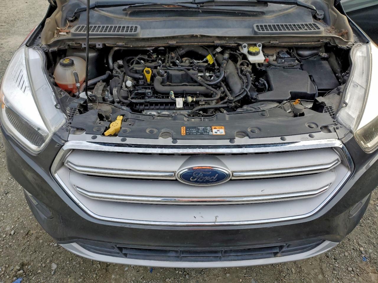 2019 Ford Escape se