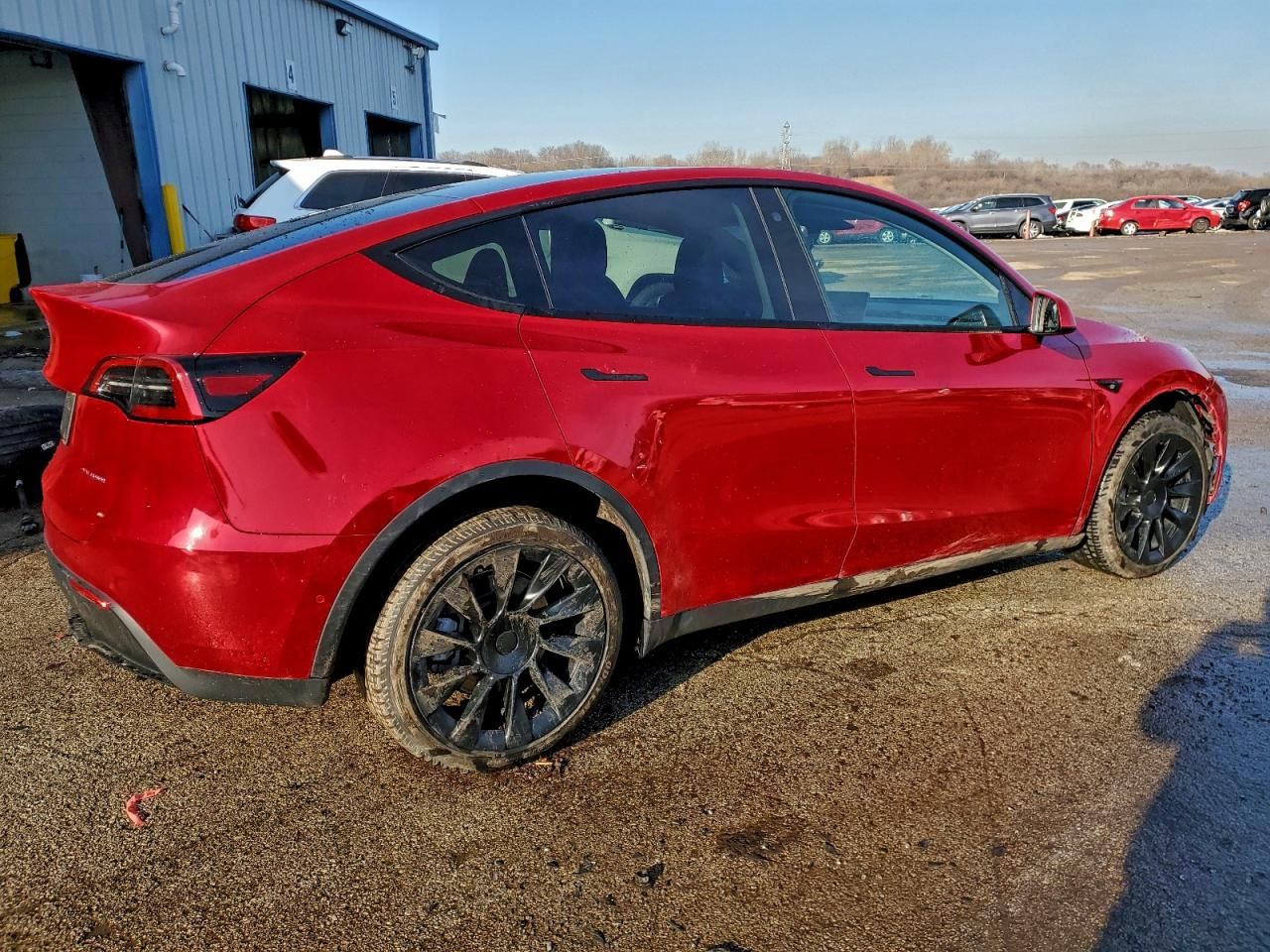 2022 Tesla Model y