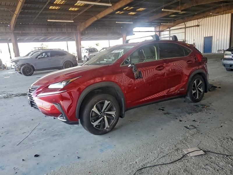 2020 Lexus Nx 300h