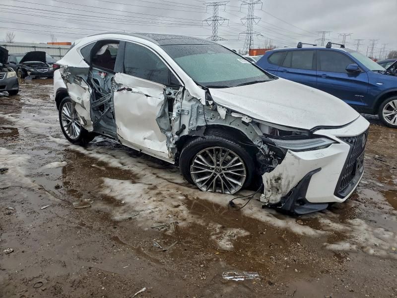 2024 Lexus Nx 350 Luxury