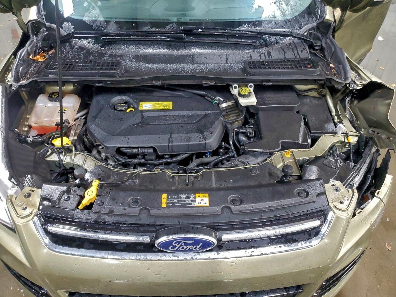 2013 Ford Escape sel