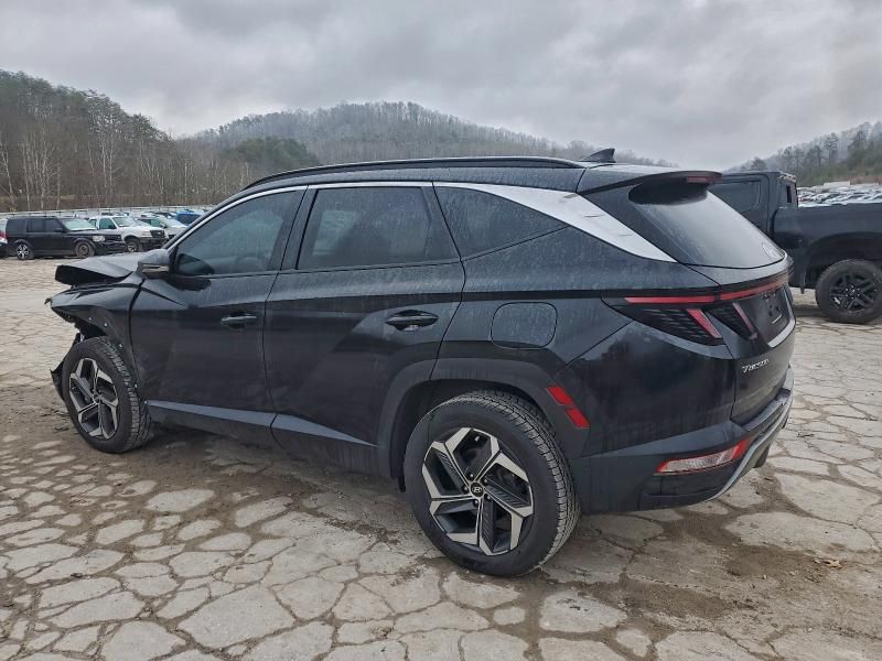 2024 Hyundai Tucson Limited