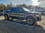 2011 Ford F150 svt Raptor