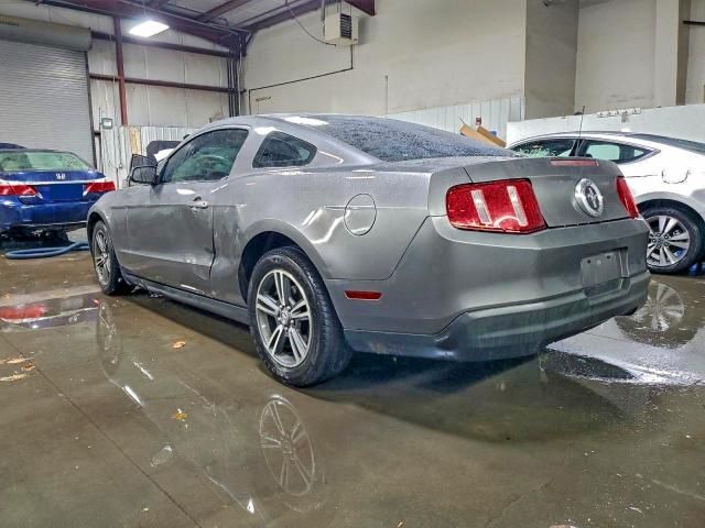 2010 Ford Mustang
