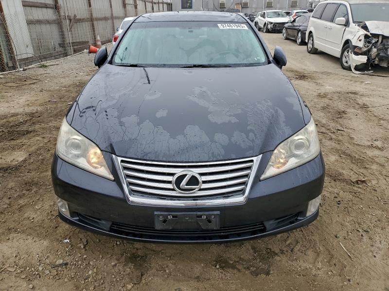 2010 Lexus ES