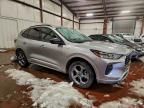 2023 Ford Escape st Line